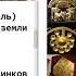 21 я тема 4 й пункт