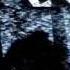 Ice Cube Sasquatch