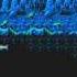 46 Okunen Monogatari The Shinka Ron ４６億年物語 THE進化論 Game Sample PC 98