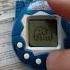 Тамагочи с AliExpress 49 существ на выбор 1 84 за 2 штуки Shorts Germany Tamagotchi Retro