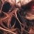 Excision Space Laces Destroid 11 Get Stupid FULL HD