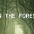 In The Forest Slowed And Reverbed