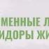 ПОЙМЕННЫЕ ЛЕСА КОРИДОРЫ ЖИЗНИ