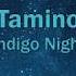 Tamino Indigo Night Lyrics