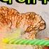 To Whom And What Were They Talking About This Evening About You Candle Wax Reading In Hindi