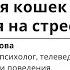 Психосоматические заболевания кошек как реакция на стресс