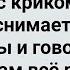 После Первой Брачной Ночи Мать Наложила Дочке Компресс Сборник Свежих Анекдотов Юмор