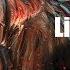 Live Stream Zombie Bear Halloween Theme Request Day
