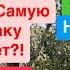 Днепр Взрывы Украина Прогнозируют Тысячи Ракет по Украине Психологическая Атака 20 ноября 2024 г