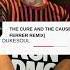 FISH GO DEEP THE CURE AND THE CAUSE DENNIS FERRER REMIX