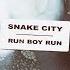 Snake City Run Boy Run