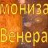 Откуда приходят страдания и несчастья Как улучшить энергию Венеры в гороскопе Астро Упайи Шукра