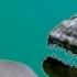 Dinosaur Chase Explained Earth Cube Ep 16 Walking With Dinosaurs BBC Earth Explore