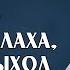 Тому кто боится Аллаха Он даёт выход из книги Охота за мыслью Ибн аль Джаузи ᴴᴰ