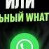 Почему WhatsApp блокирует бизнес аккаунты и КАК этого избежать
