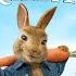 Peter Rabbit 2 The Runaway Full Movie In English New Hollywood Movie Review Facts