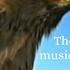 The Flight Of The Eagle Music By Ennio Morricone