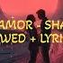 Mi Amor Slowed Reverb SHARN 40K THE PAUL Lyricszoid