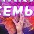 МОЛИТВА О СЕМЬЕ Провозглашение НА ДЕТЕЙ Сид Рот Это сверхъестественно