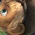 Masha And The Bear Monkey Business Episode 74