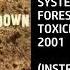 System Of A Down Forest Custom Instrumental