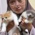 SEMUA COSPLAY JADI KUCING