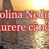 Carolina Nedorea Lacrimile De Durere NOU 2022