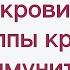 Группы крови Иммунитет Свертывание крови