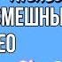 ПОДБОРКА СМЕШНЫХ ВИДЕО часть 8 ALEXLON