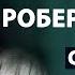 Роберт Адамс Главное открытие в твоей жизни Сатсанг 12 часов Просветление Пробуждение