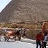 Cairo The Great Pyramids Of Giza The Necropolis Of Saqqara