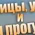 Севастополь в декабре Его улицы и набережная Морская прогулка