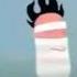 Dumb Ways To Kung Fu 10k Speed
