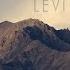 Levi Patel Since Last Letters Official Music Video
