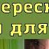 Интересные шторы для кухни Идеи дизайн для вдохновения и оформления