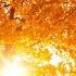 Beautiful Relaxing Hymns Peaceful Instrumental Music Golden Autumn Morning Sunrise By Tim Janis