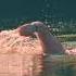 Travel Channel Wild Travels Series Wild Swimming