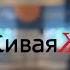 Воскресное служение 05 11 Не клянись вовсе ни небом потому что оно престол Божий