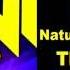 WCW Natural Born Thrillers Theme Song