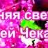 УТРЕННЯЯ СВЕЖЕСТЬ СЕРГЕЙ ЧЕКАЛИН