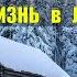 ДОМ в ЛЕСУ ЖИЛИЩЕ ЛЮДОЕДА МЕДВЕДЬ ЛЮДОЕД ОТШЕЛЬНИК СУДЬБА СТРАШНЫЕ ИСТОРИИ из ЖИЗНИ ЛЕСНЫЕ СЕРИАЛ 4