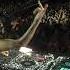 FKA Twigs Eusexua Anyma Remix Live From GENESYS Melbourne