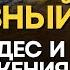 21 28 ноября Алмазный путь Via Vitalis время чуда и преобразования Судьбы Знак Змееносца