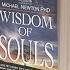 Wisdom Of Souls Case Studies Of Life Between Lives From The Michael Newton Institute AUDIO BOOK