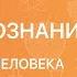 ОБЩЕСТВОЗНАНИЕ 6 класс Потребности человека Иерархия потребностей А Маслоу