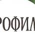 Профиль 4 6 Оппортунист Ролевая Модель Дизайн Человека Разбор