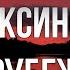 Железная память Тулоксы Что скрывают поля и леса по речным берегам Раскопки WWII