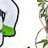 How To Draw Shrek Как нарисовать Шрека
