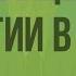 Обмен веществ и энергии в клетке Видеоурок по биологии 9 класс