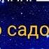 Кори Алишер Нашид бо садои форам